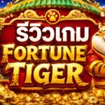 Fortune Tiger